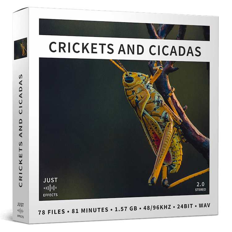 Crickets And Cicadas 78个自然环境蝉蚂蚱蟋蟀动物叫声无损音效素材