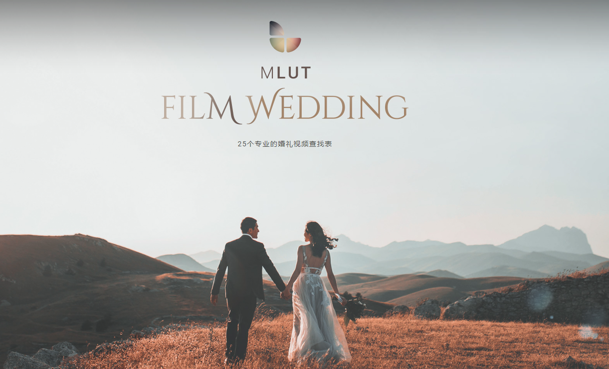 MotionVFX – mLUT Film Wedding 25个专业的婚礼视频LUTs