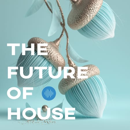 Soundsmiths The Future of House 400个循环温暖WAV