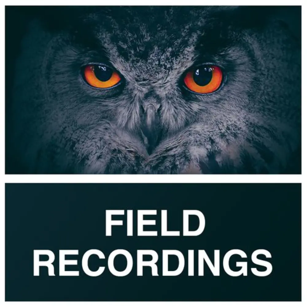 Whitenoise Records Field Recordings WAV 88种旅行音效样本