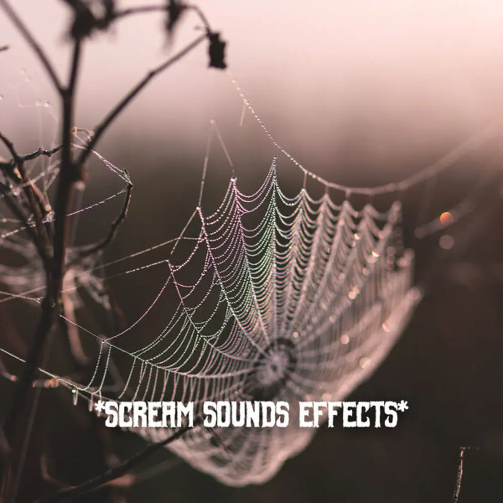 HQ Special FX Scream Sounds Effects FLAC 32种尖叫声音效库