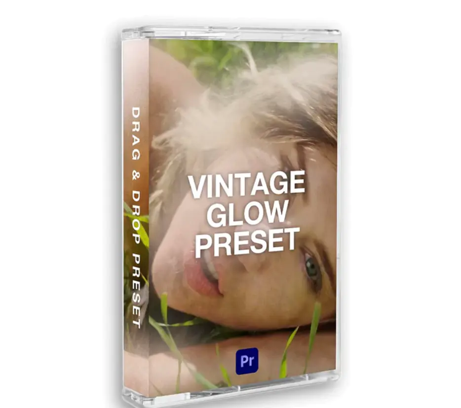 Vintage Slow Preset for Premiere Pro 复古慢动作效果预设