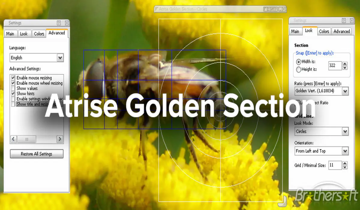 Atrise Golden Section v5.9.3 设计和美学工具软件