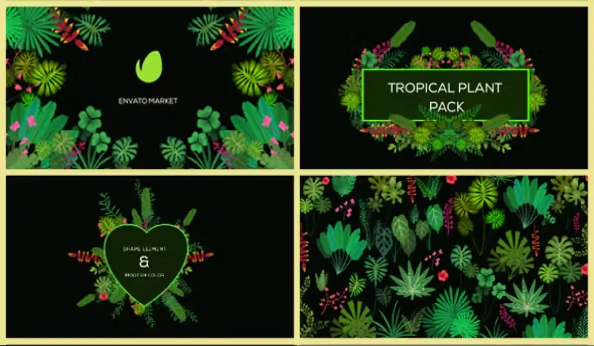 Videohive Tropical Plant Pack 热带植物主题动画效果模板