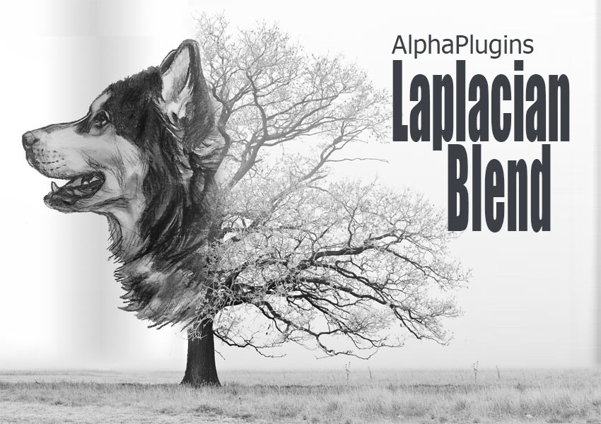 AlphaPlugins Laplacian Enhanced v1.0 增强图像无光晕和伪影PS插件