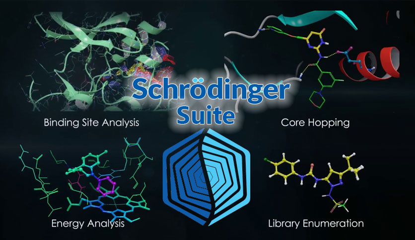 Schrodinger Suite 2024-1  材料和分子模拟软件