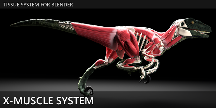 Blender X-Muscle System 4.0 肌肉系统模拟插件